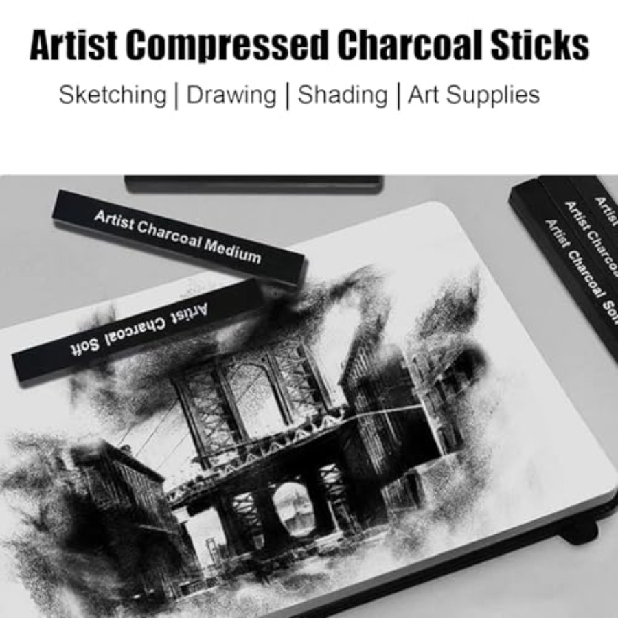 Compressed Charcoal Sticks 6 P - Rubber Eraser Kneaded review and price